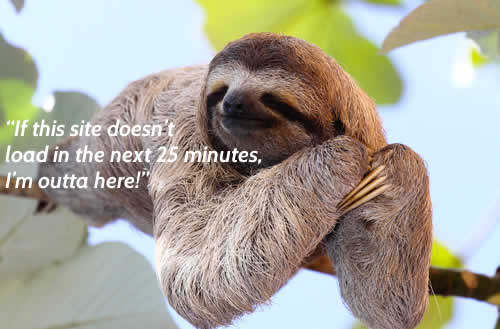 sloth talking about slow website