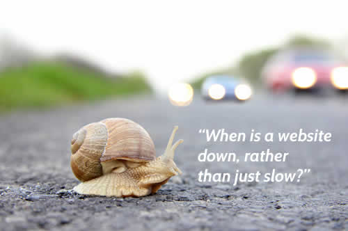 snail saying 'when is website down or slow'